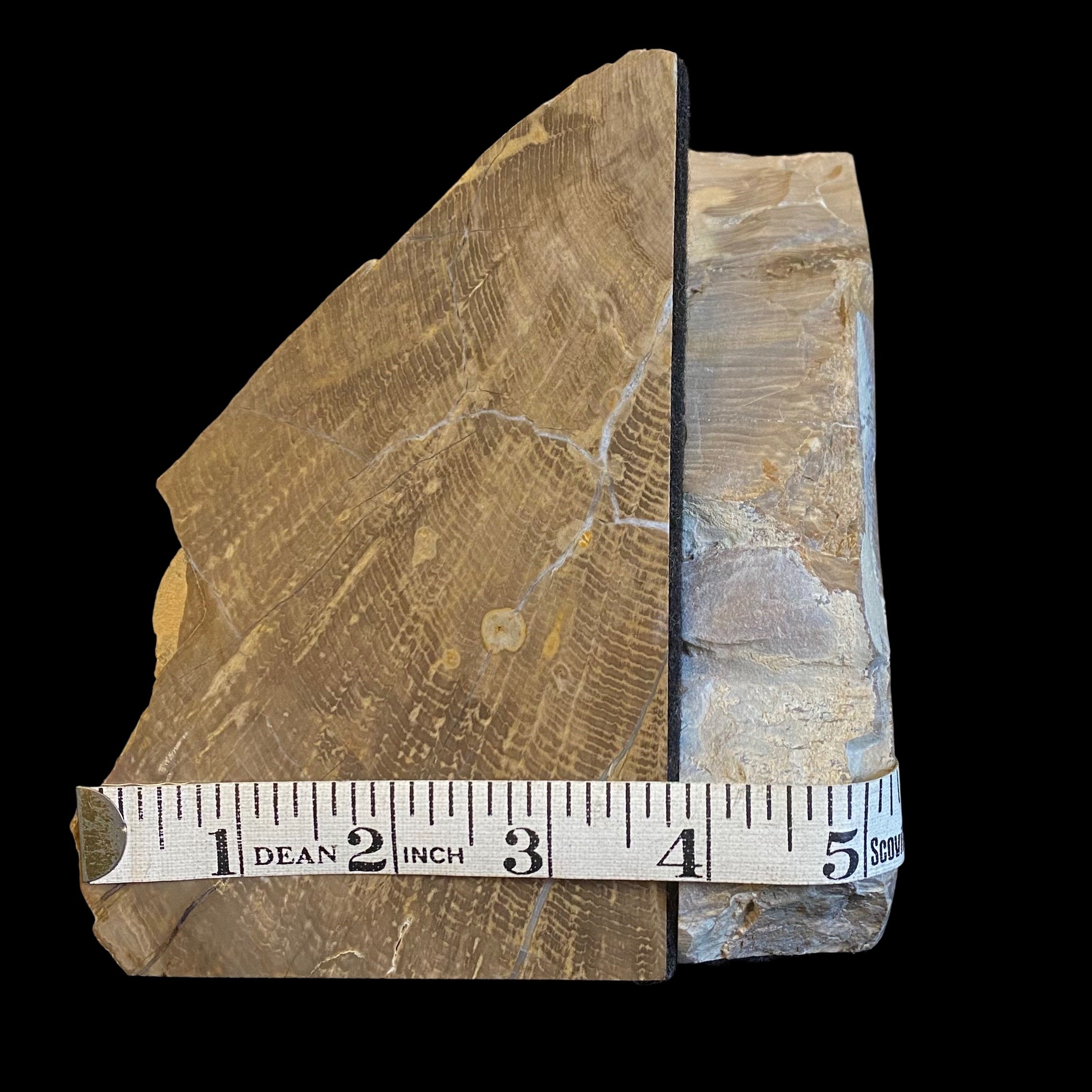 700-2257 (3).JPG