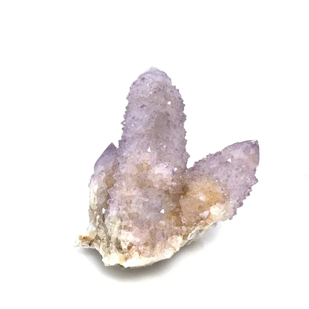 Cactus Quartz (South Africa)  The Jewel