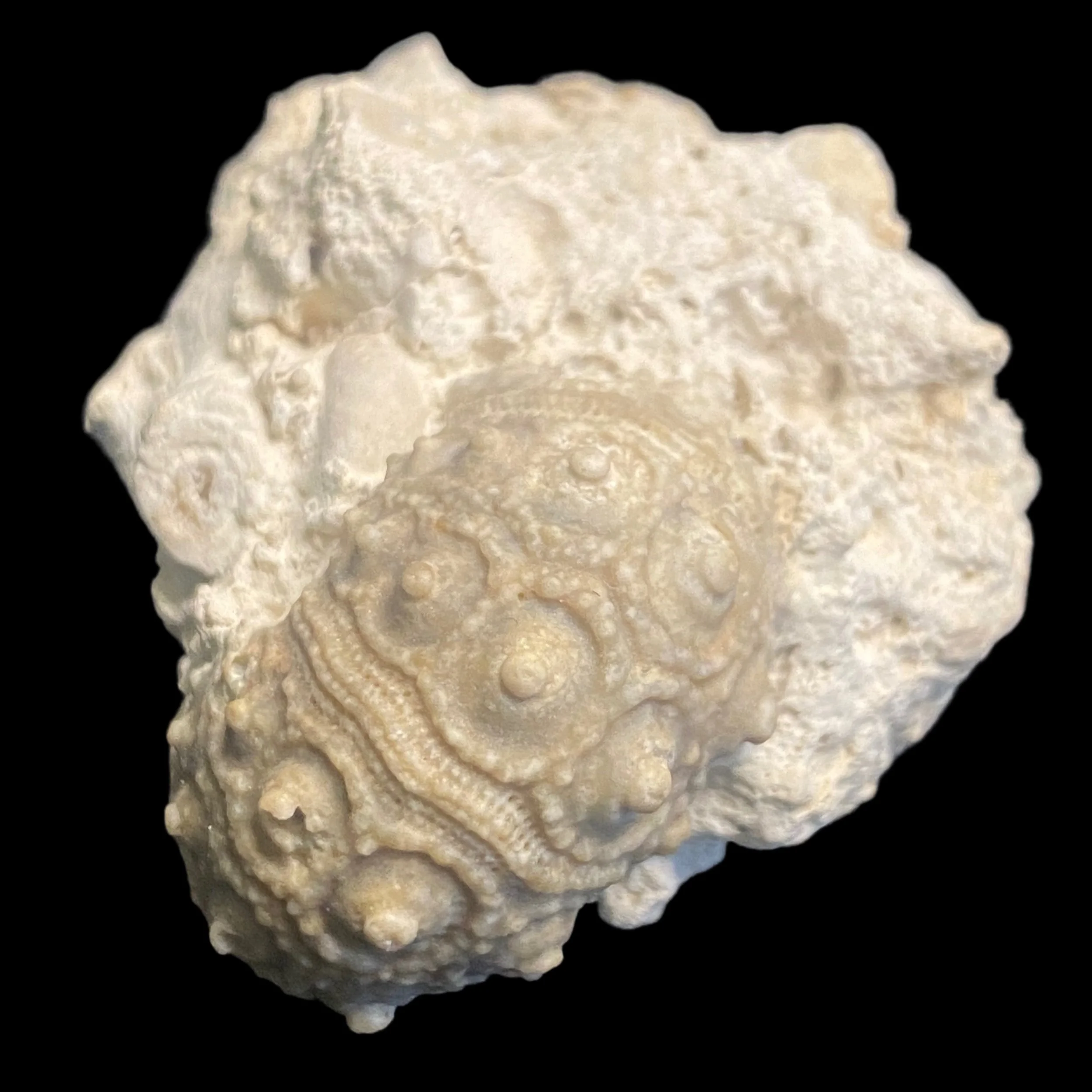 700-2288.JPG