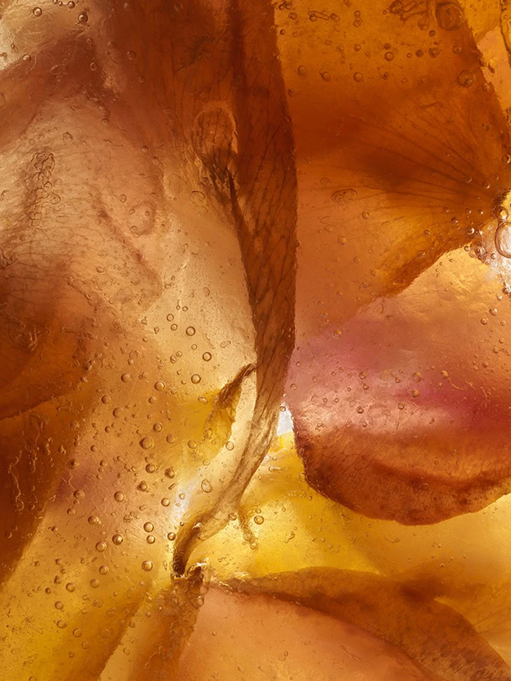 HIBERNATION HASSELBLAD_4908.jpg