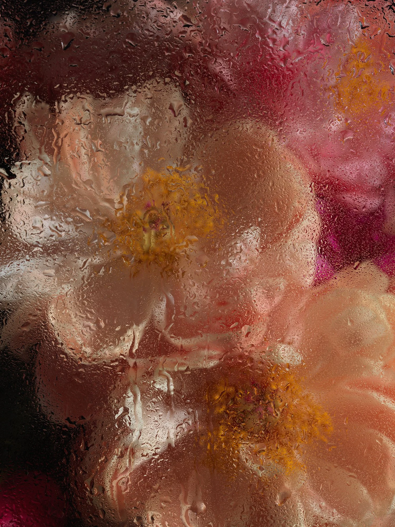 PEONIES GLASS_1180.jpg