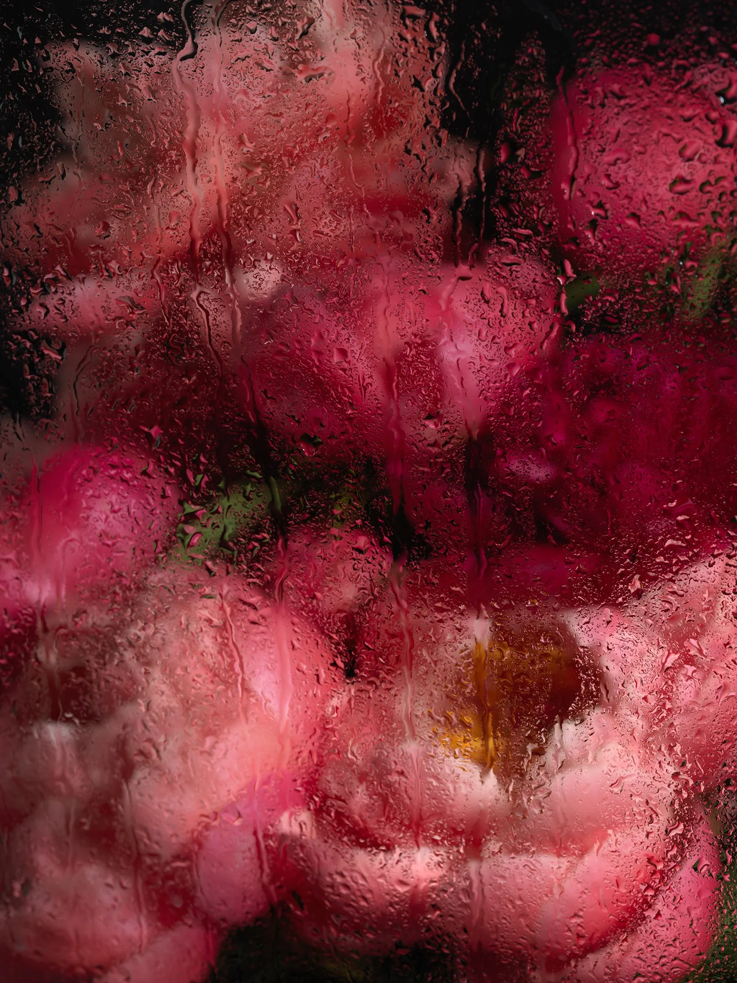 PEONIES GLASS_0602.jpg