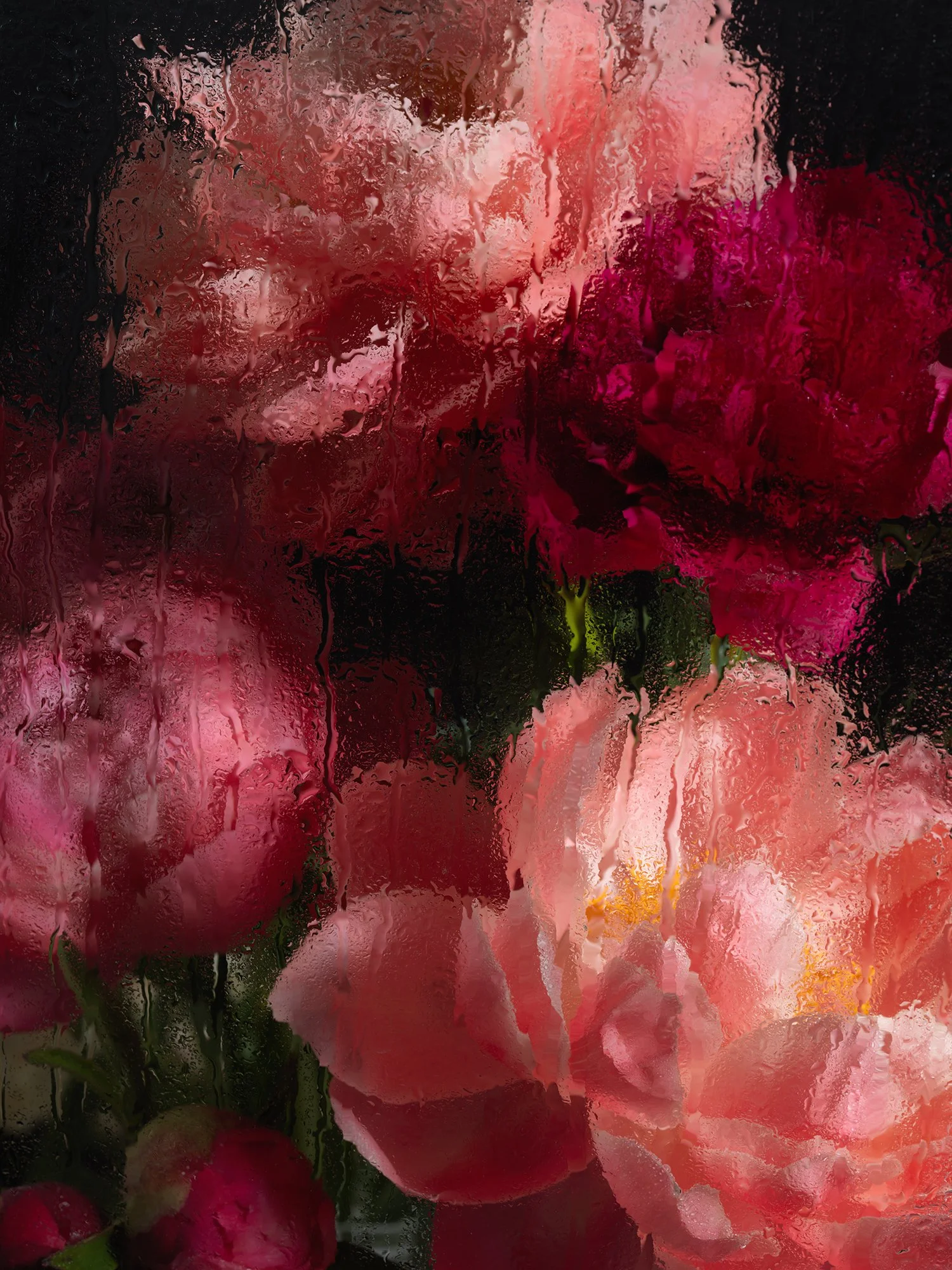 PEONIES GLASS_0793.jpg