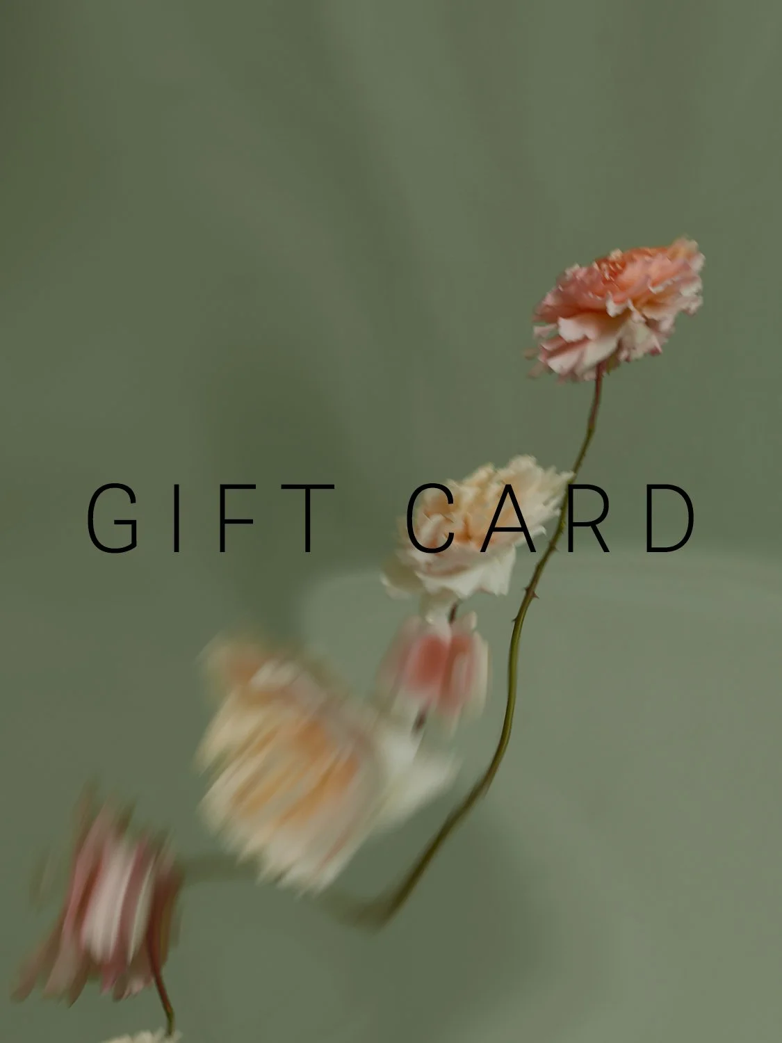 GIFT CARD English ROSES  I still life 06_2452240.jpg