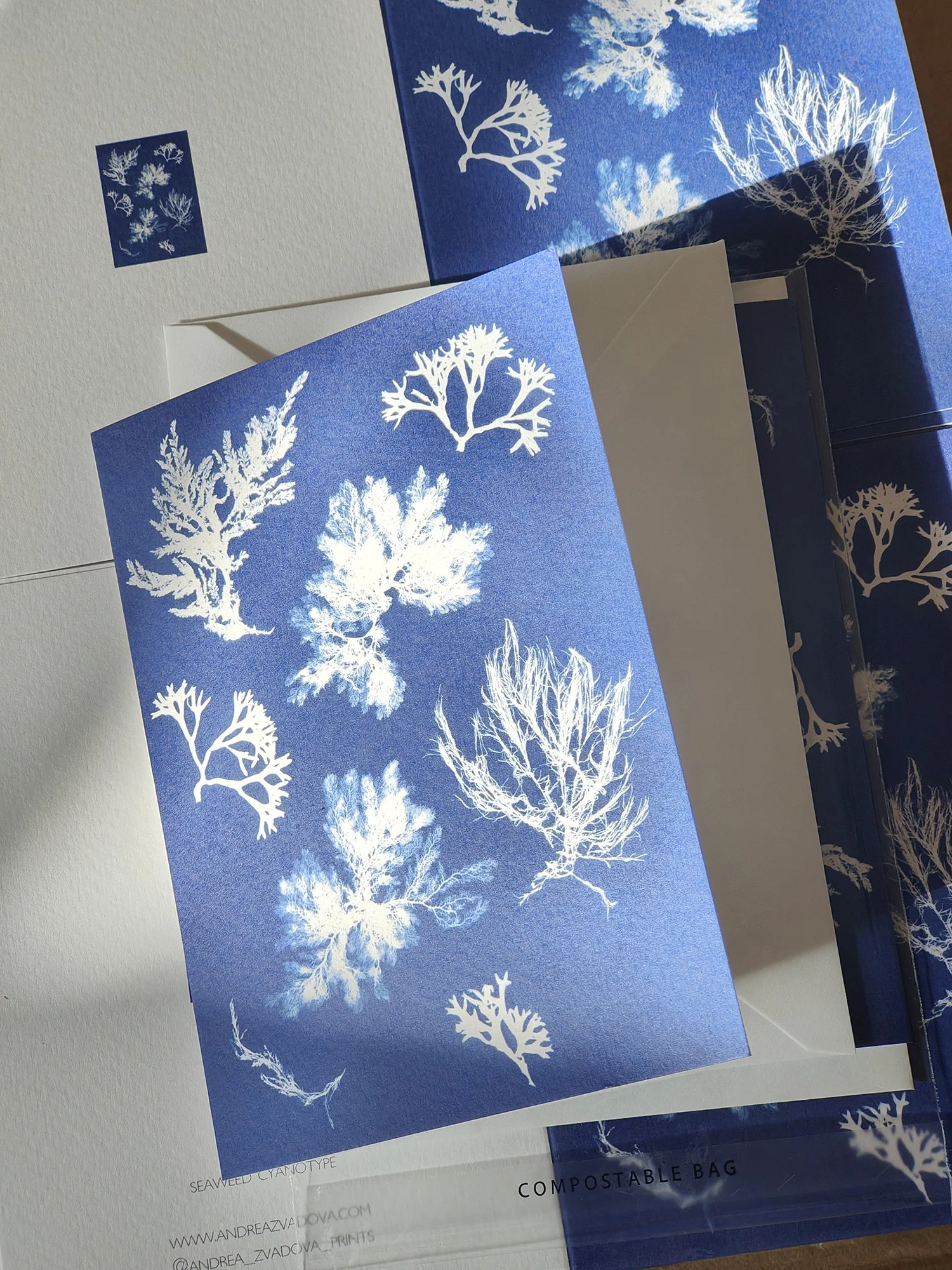 seaweed cyanotype greeting cards