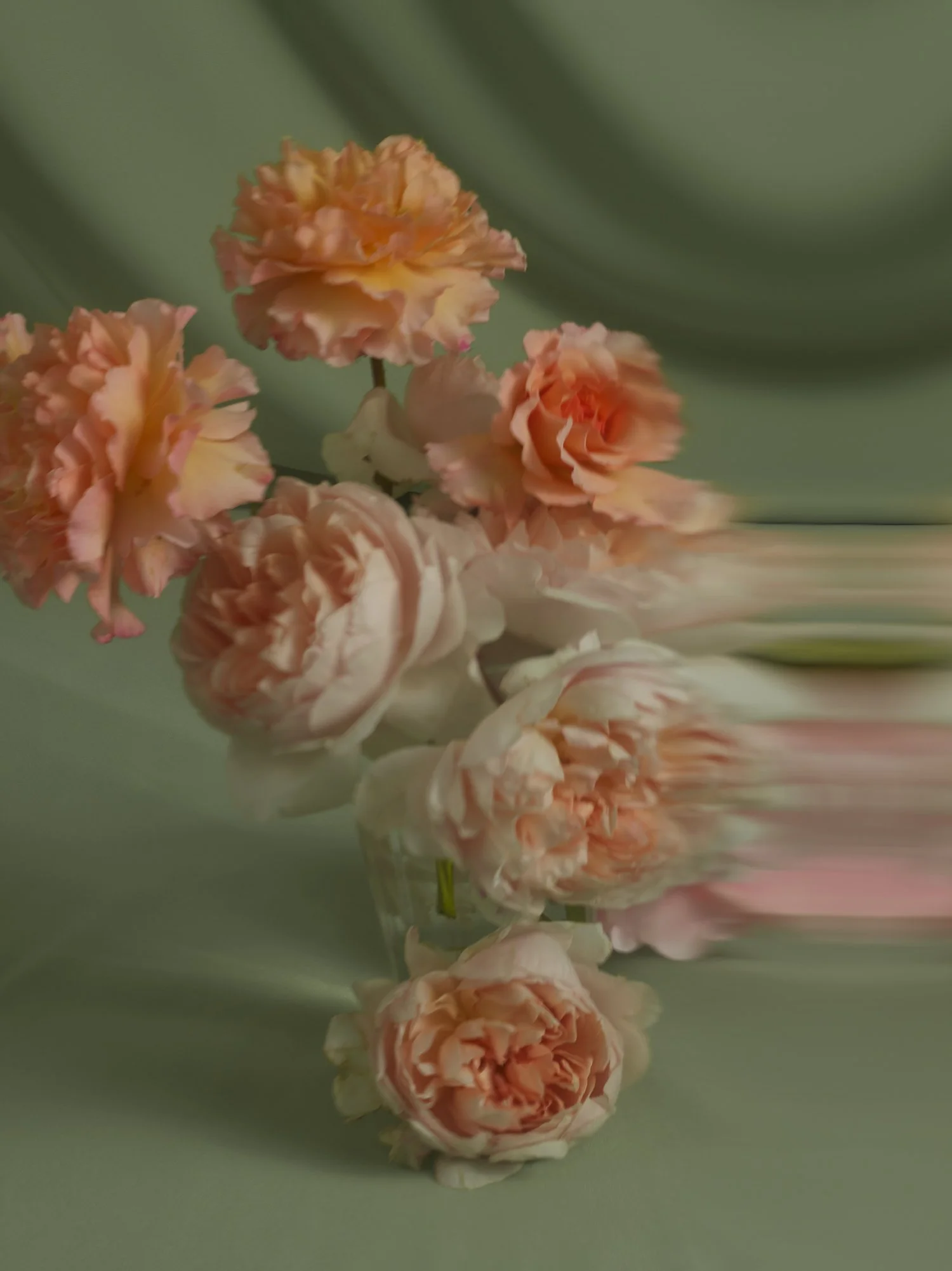 ROSES still life 06_2451894.jpg