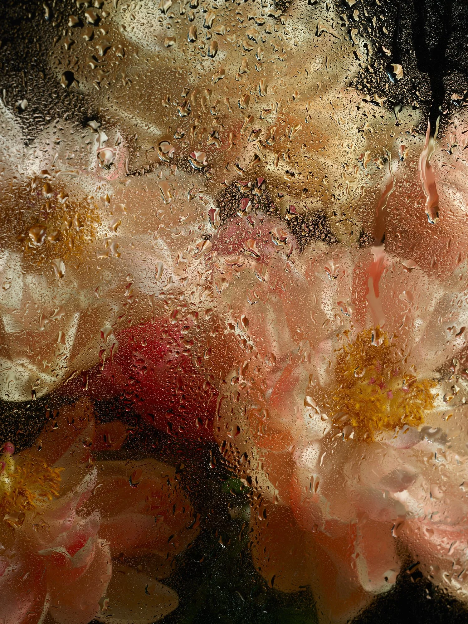 PEONIES GLASS PHASE ONE46290.jpg