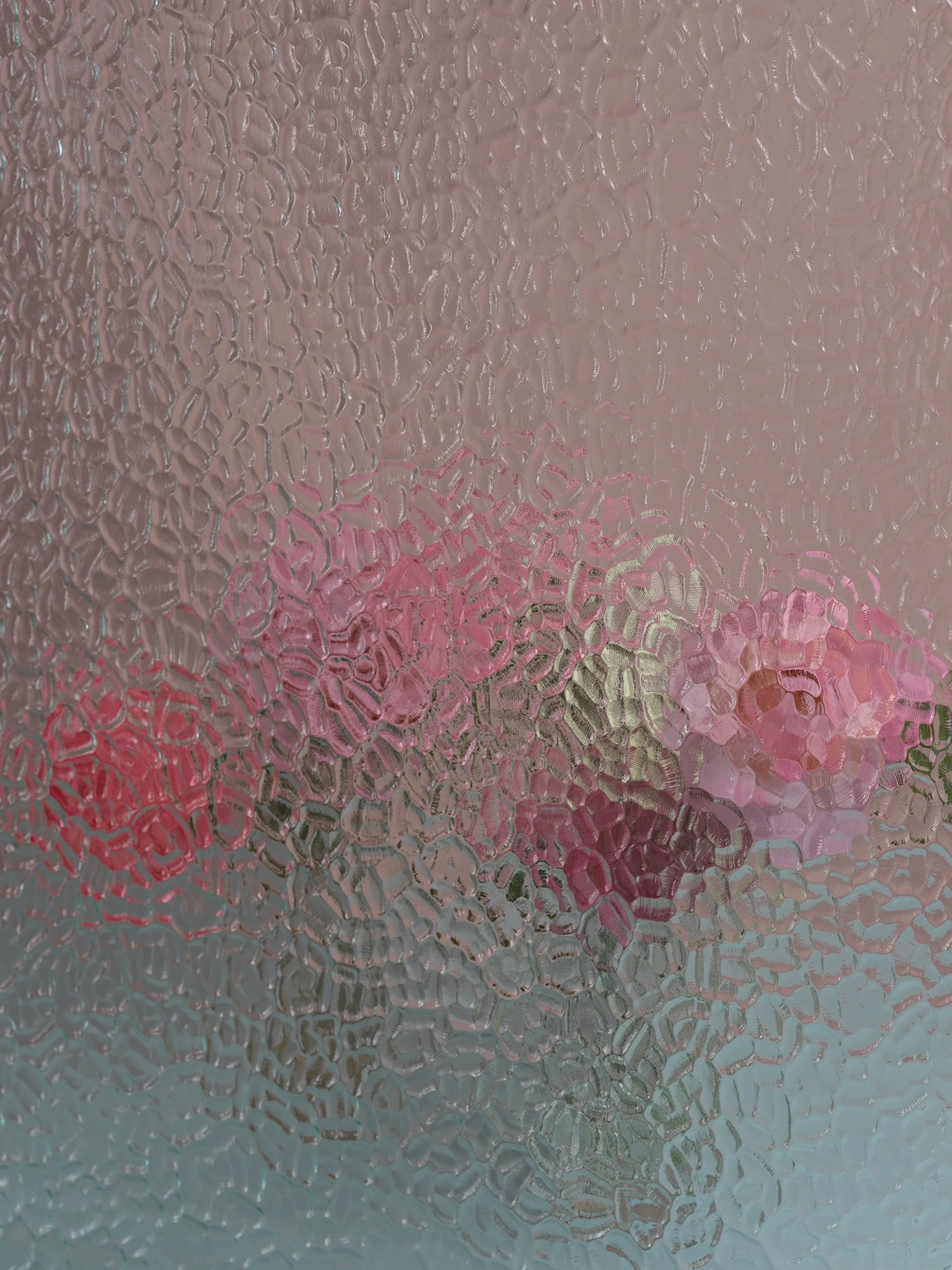 Nancy Flowers_2284res.jpg