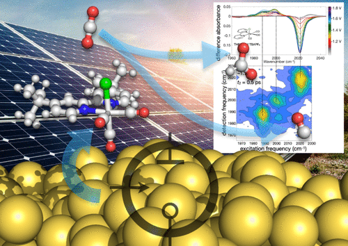 Transmission Mode 2D-IR Spectroelectrochemistry of In Situ Electrocatalytic Intermediates