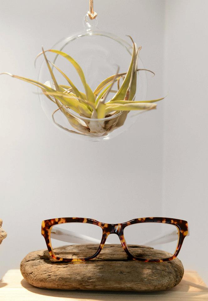 San Antonio Eyeworks Glasses Display