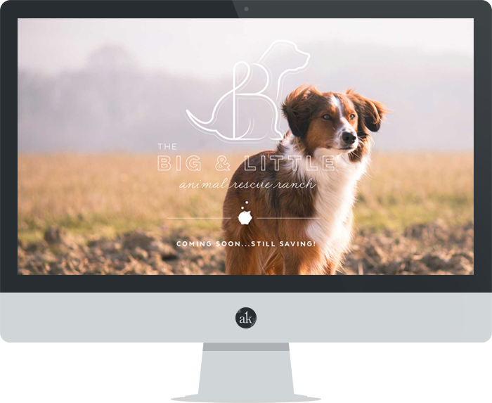 The Big & Little Animal Rescue Ranch | Website Preview