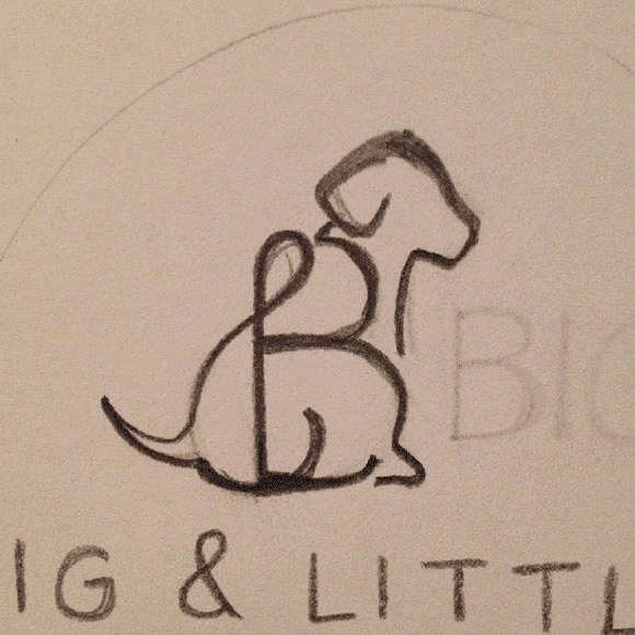 Logo creation process for the Big & Little // Akula Kreative
