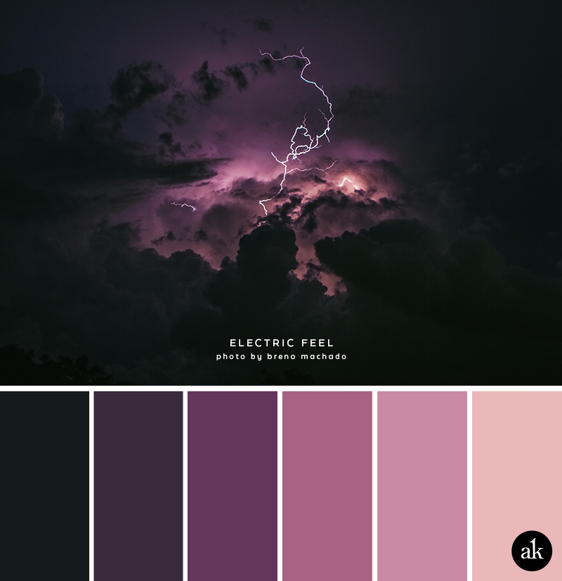a lightning-inspired color palette — Creative brands for creative people //  Akula Kreative