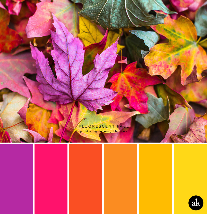 a neon-leaf-inspired color palette.