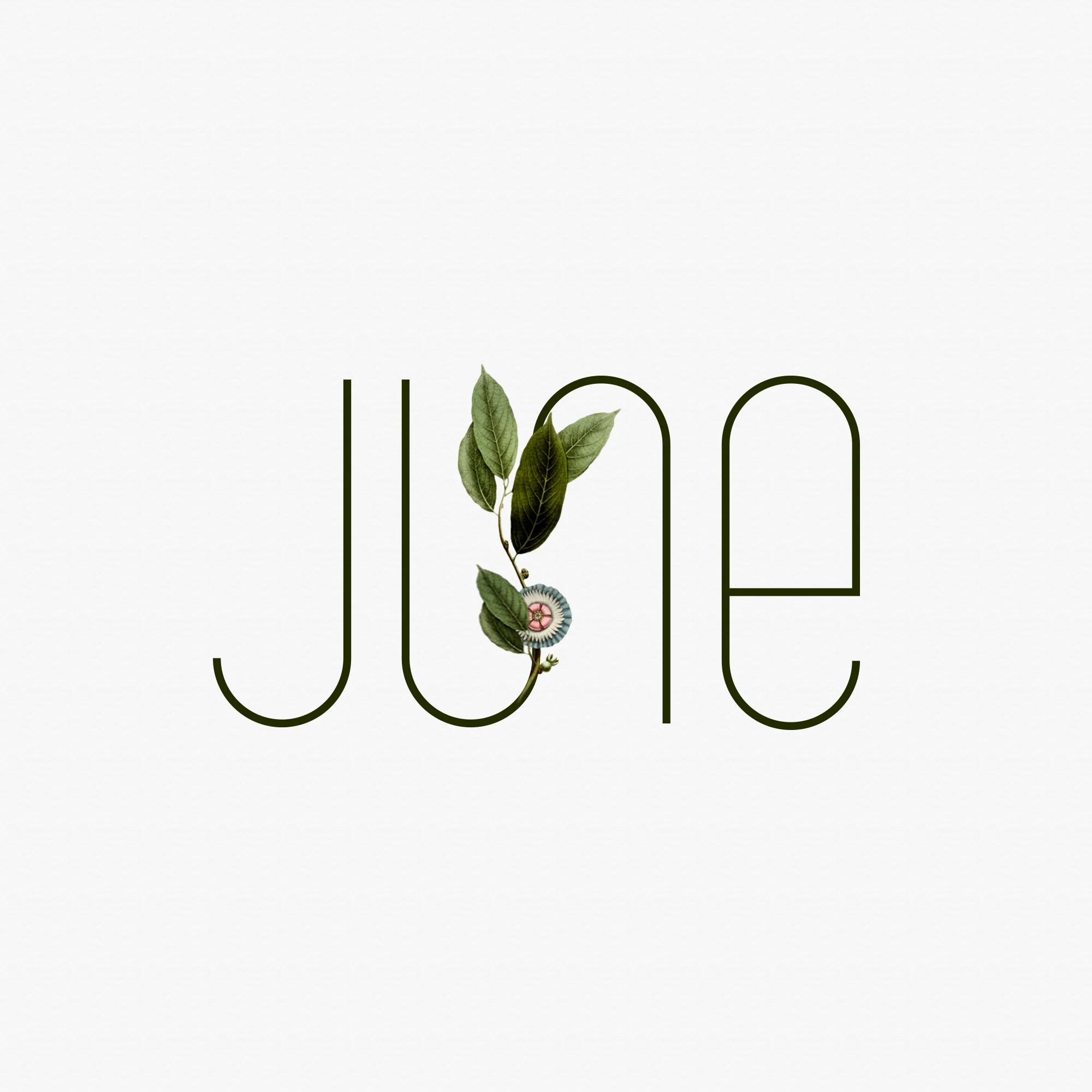 Blog — Creative brands for creative people // Akula Kreative