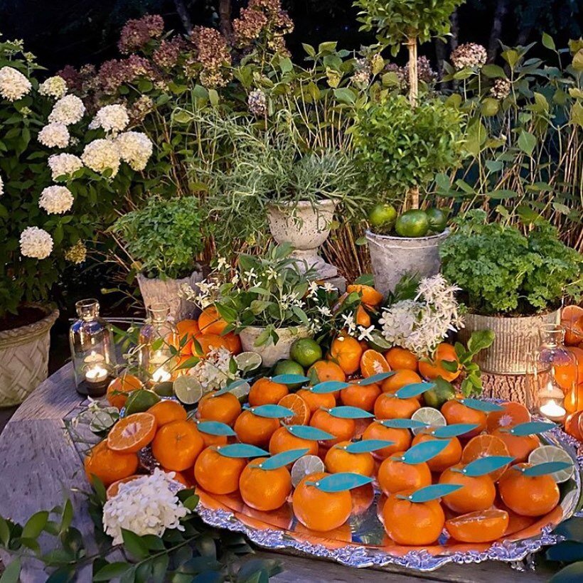 Getting #creative with 🍊🍊🍊 for a small #celebration.