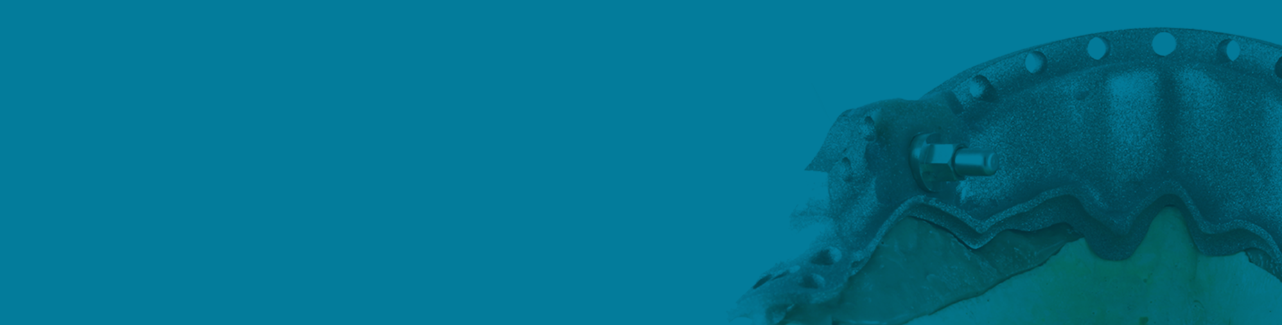 Panthera-Rebourke-Cover.png