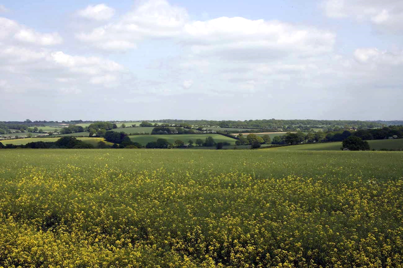 The view from Dummer Down Farm