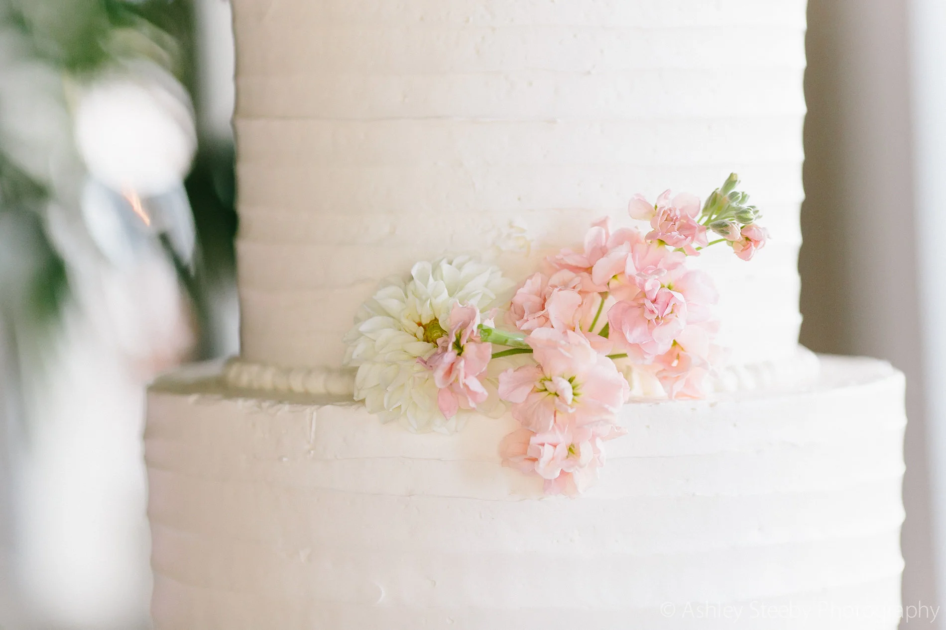 ALLEYCAKES-33.jpg