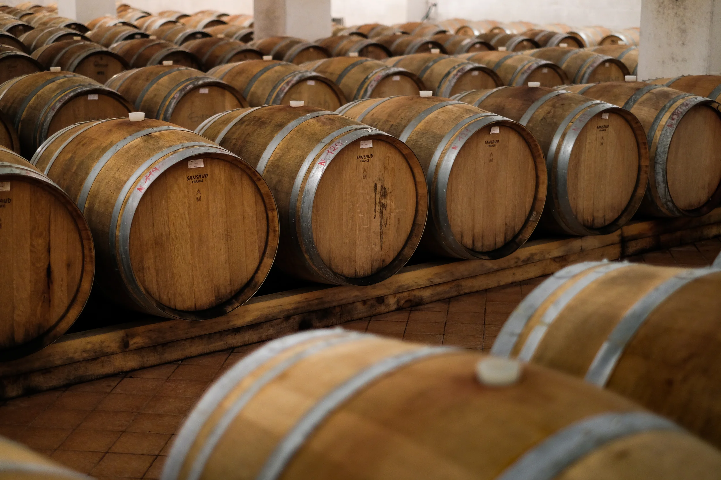 Santa Lucia Vineyards