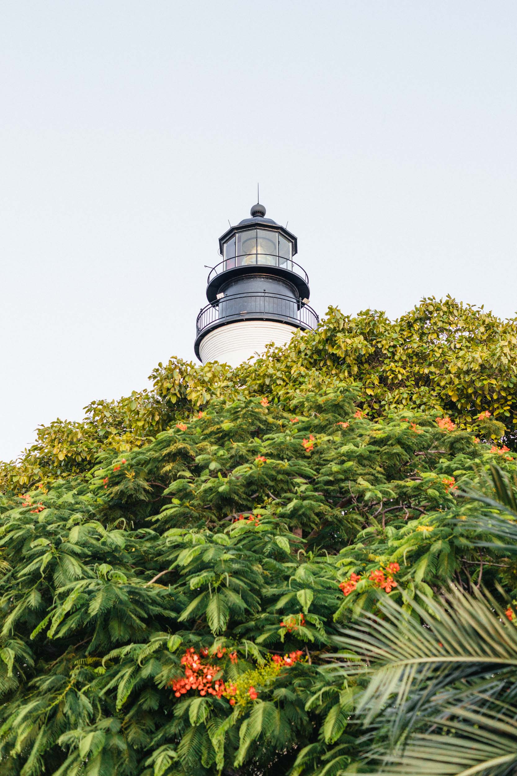 Florida Keys (3 of 16).jpg