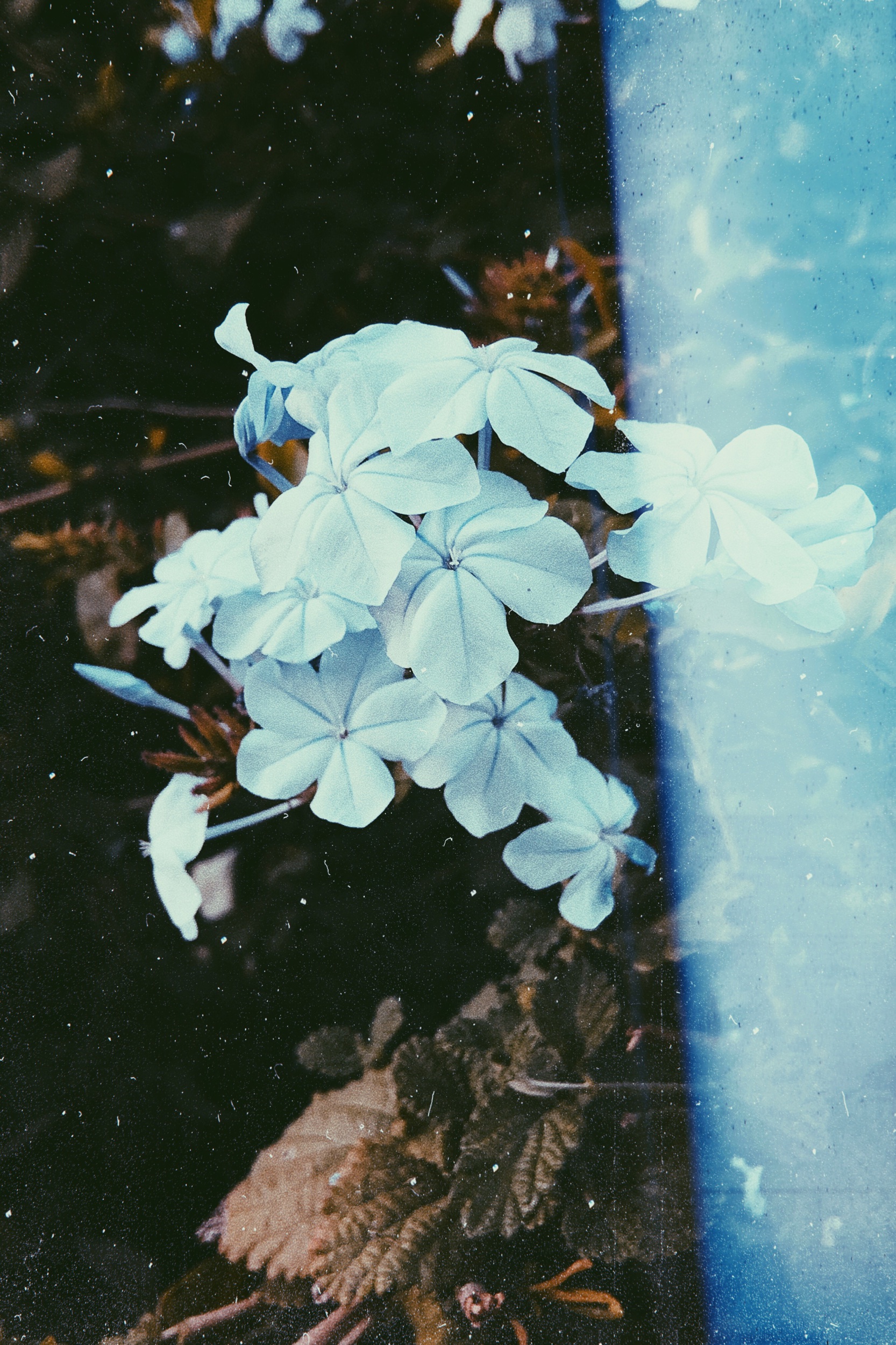 IMG_3155.jpeg