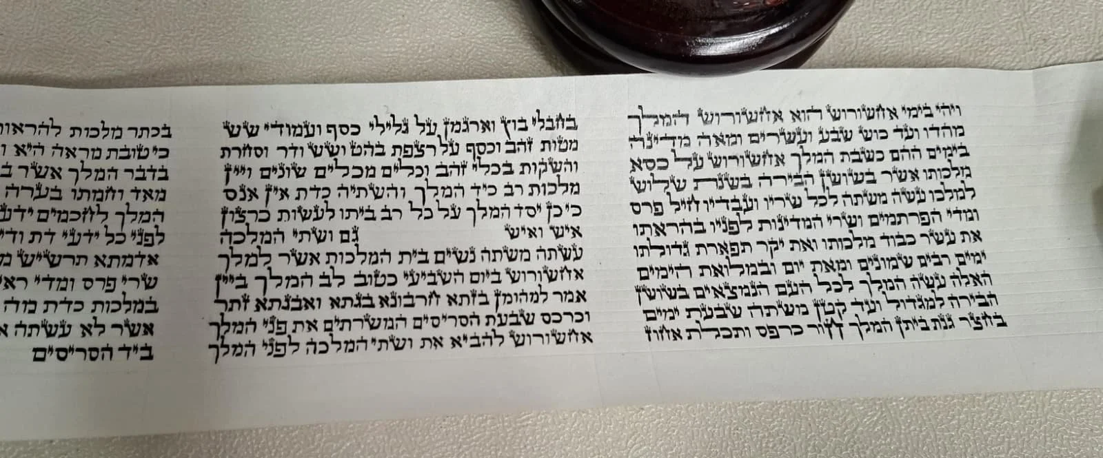 WhatsApp Image 2026-02-18 at 2.29.56 PM.jpeg