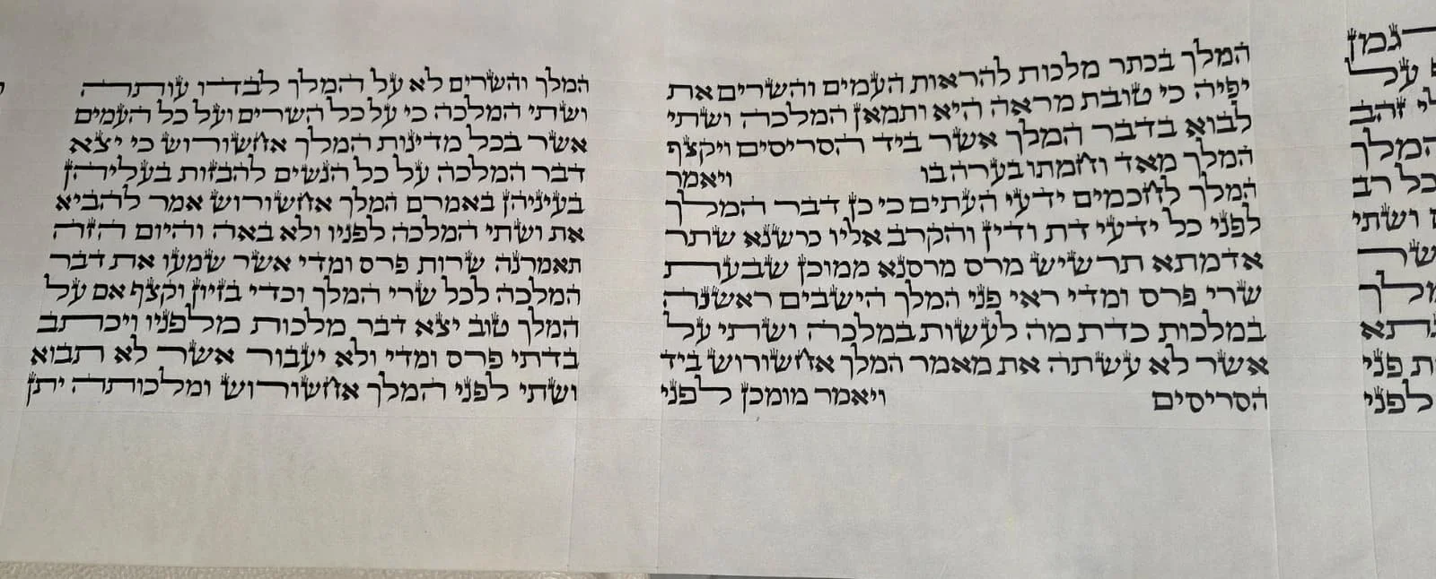 WhatsApp Image 2026-02-18 at 2.29.45 PM.jpeg