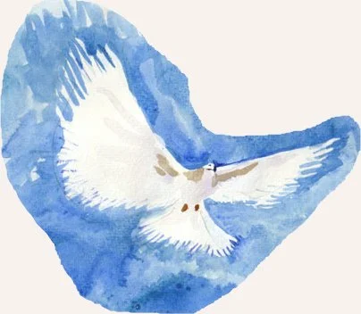 Ḥumash &amp; Ḥamin: Parashat Noah