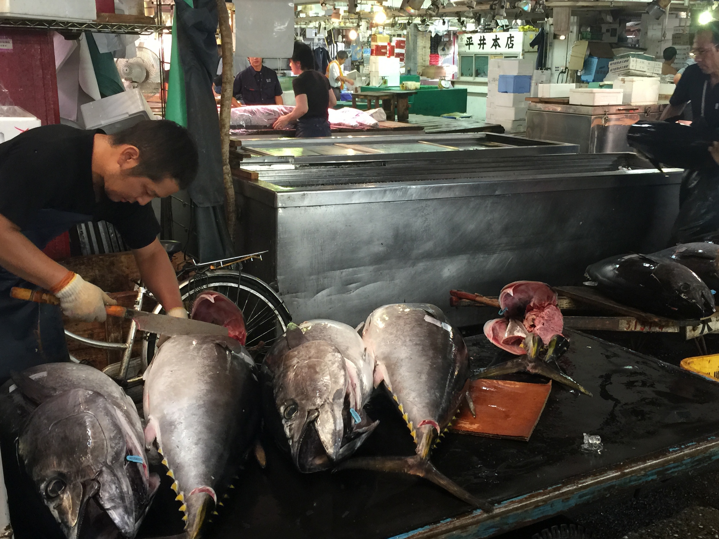 Tsukiji Fish Market 