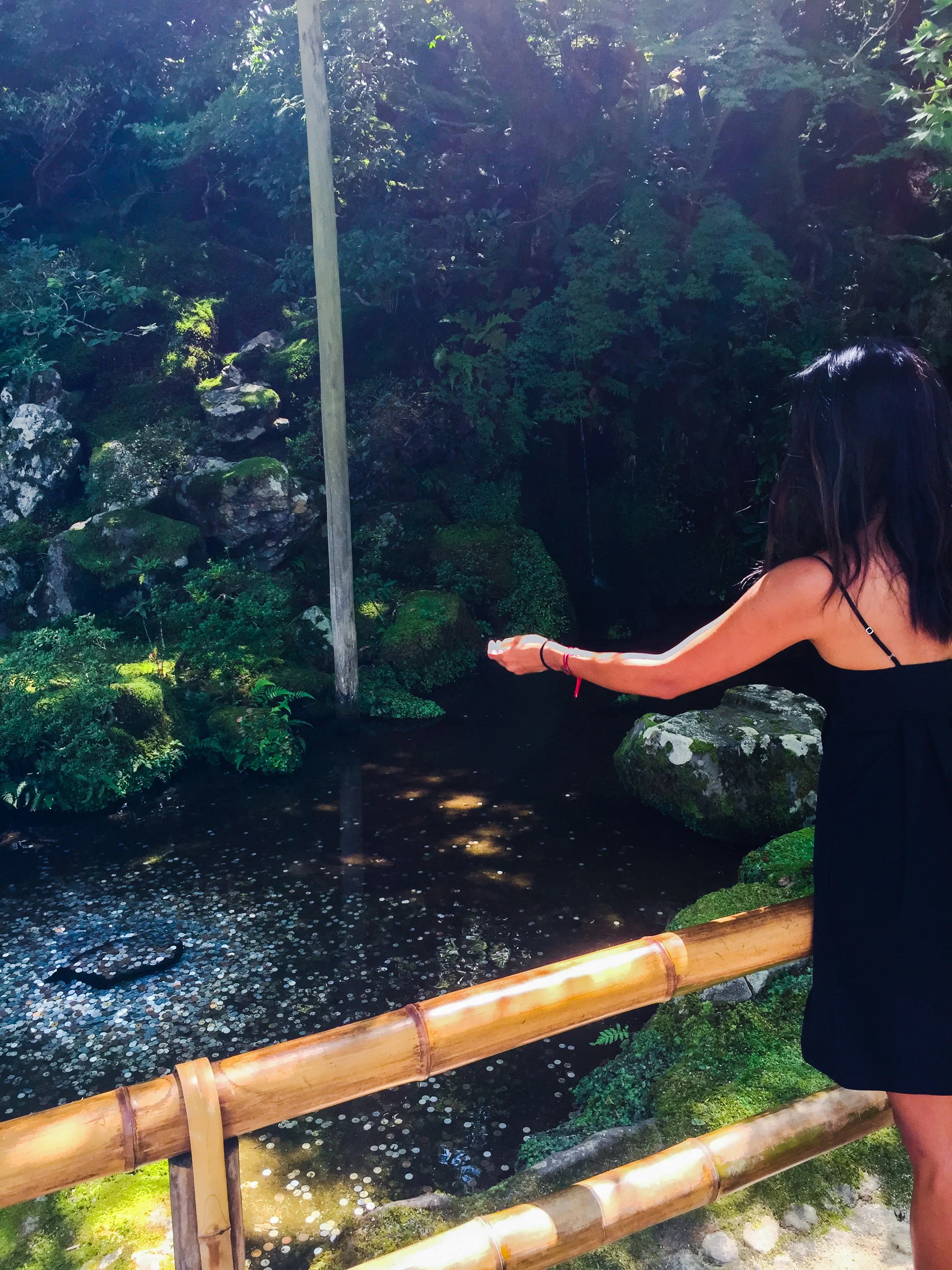 Wishing Well