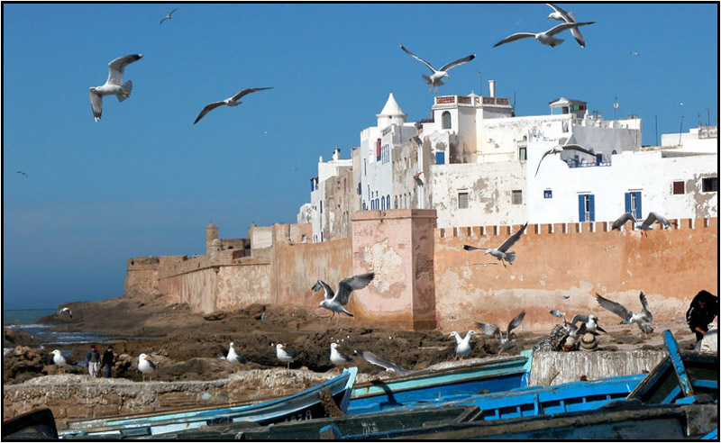 Essaouira_day_trip.jpg