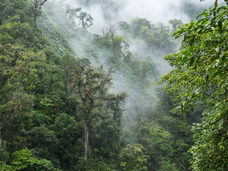 full-clouds-engulfing-monteverde-cloud-forest.jpg