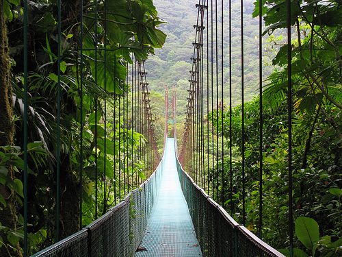 monteverde-cloud-forest-reserve-suspense-bridge.jpg