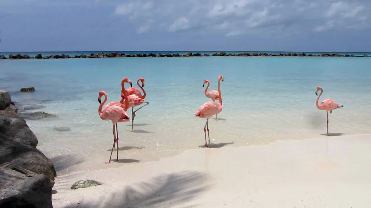 Renaissance Island, Aruba