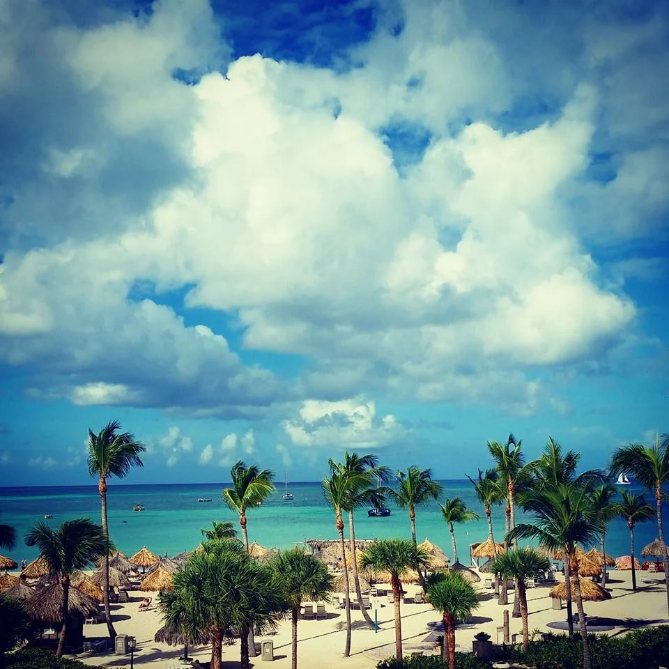 Marriott Ocean Club Views 