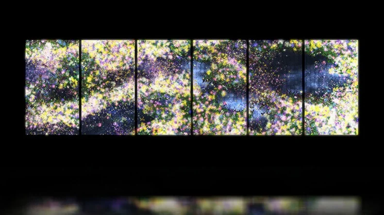 Image via Team Lab 