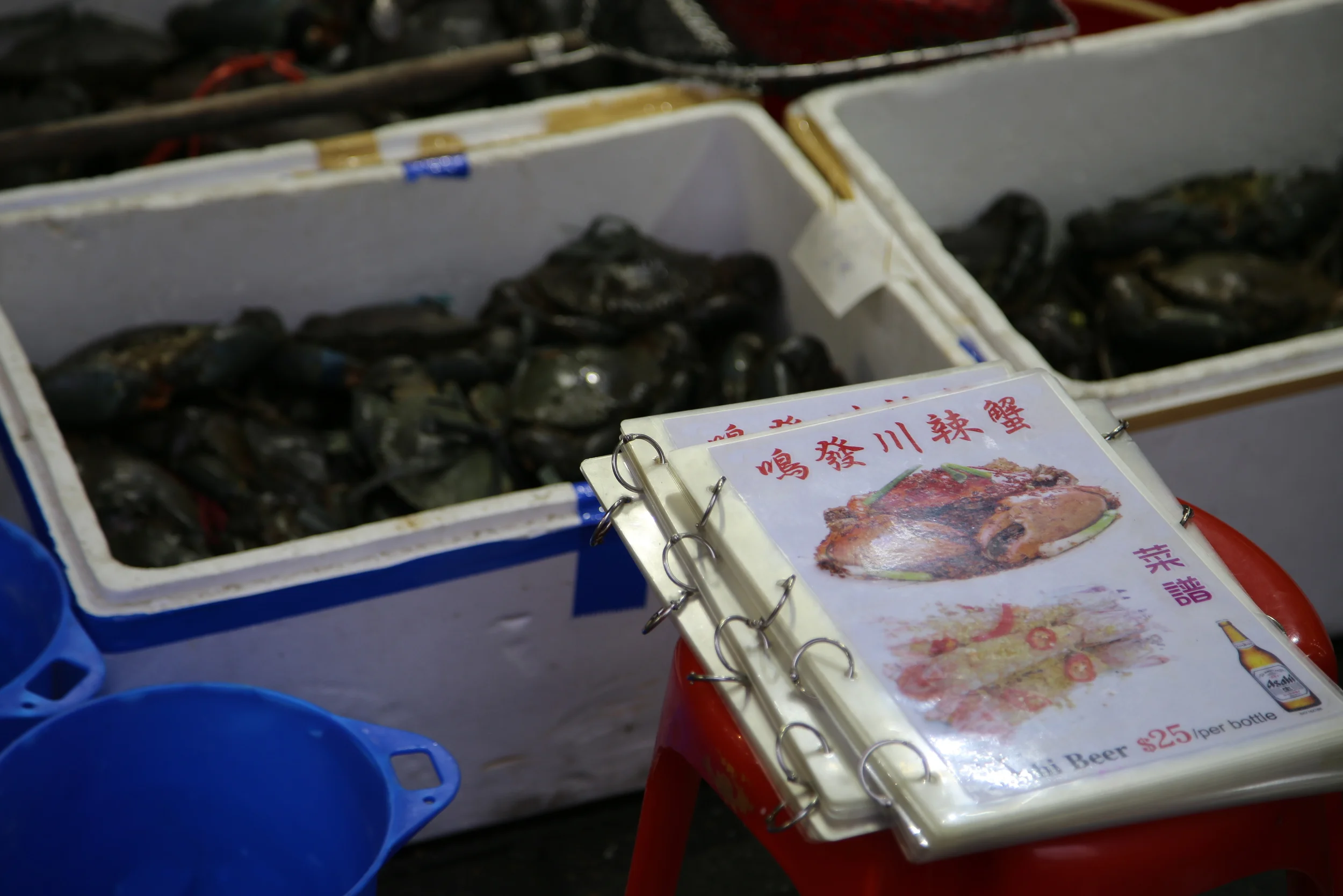 At the Temple Street Night Market, you can pick your live seafood and they will cook it for you to eat. 