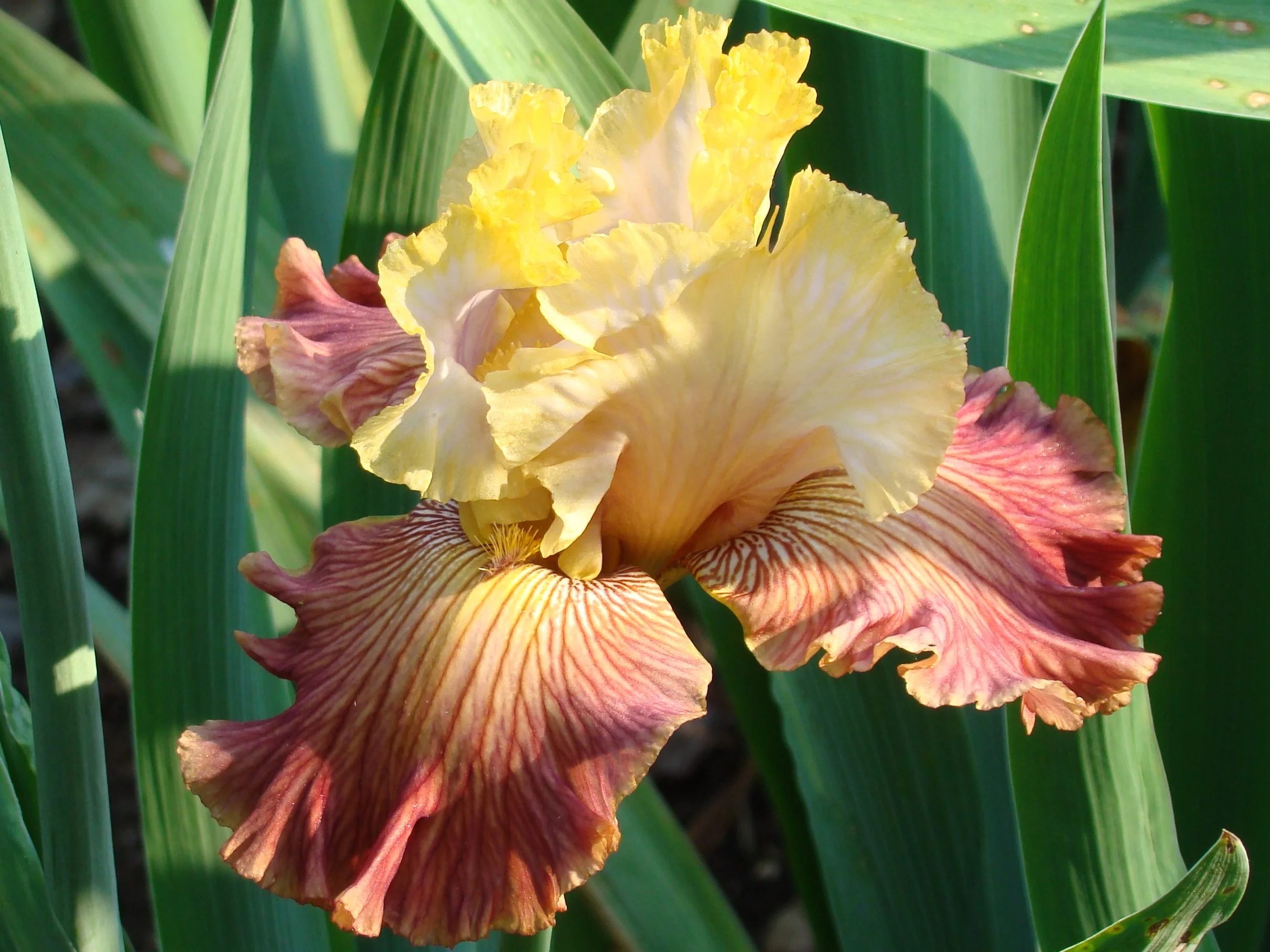 Echo Chamber - GH.JPG