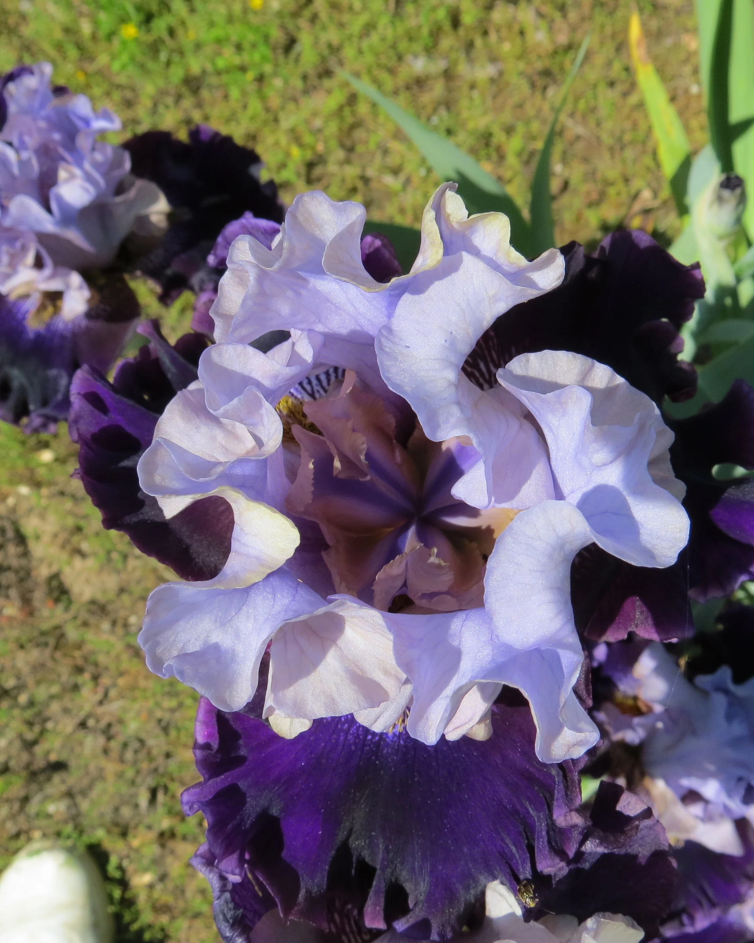 Just before sunrise.9.JPG