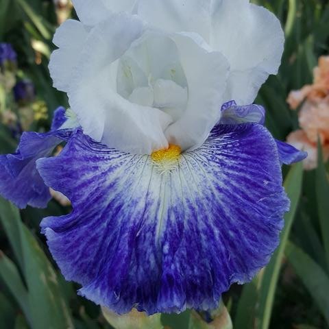 MOTION OF THE OCEAN.jpg