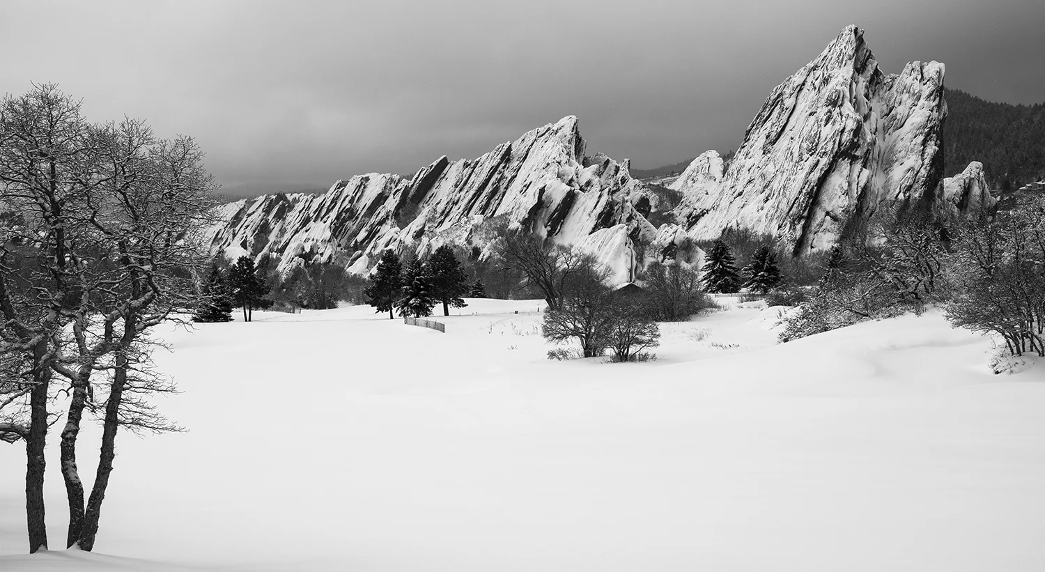 ArrowheadSnow-1004.jpg