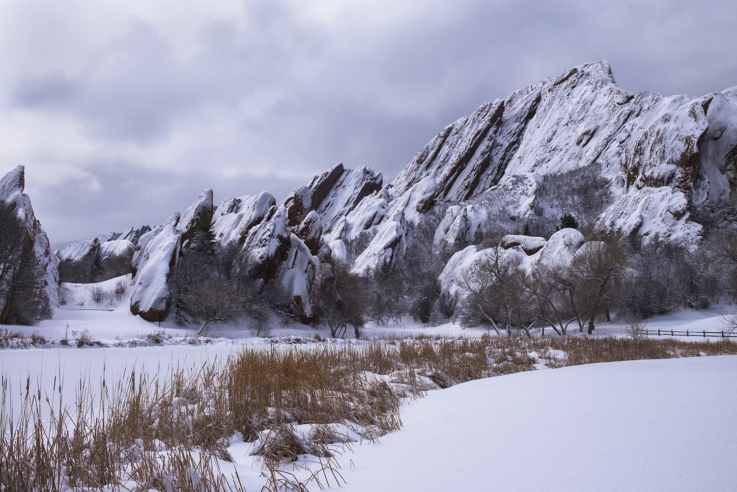 ArrowheadSnow-1016.jpg