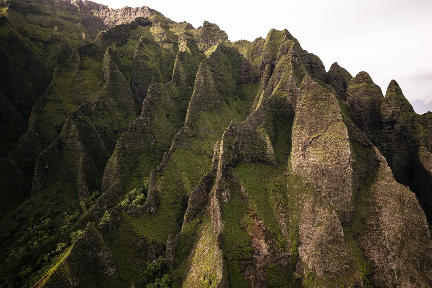 Hawaii-1115.jpg