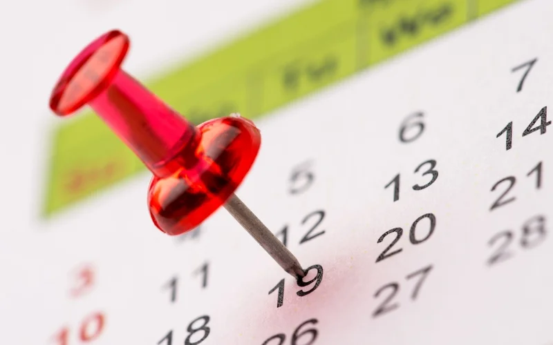 Schedule equipment and building maintenance.