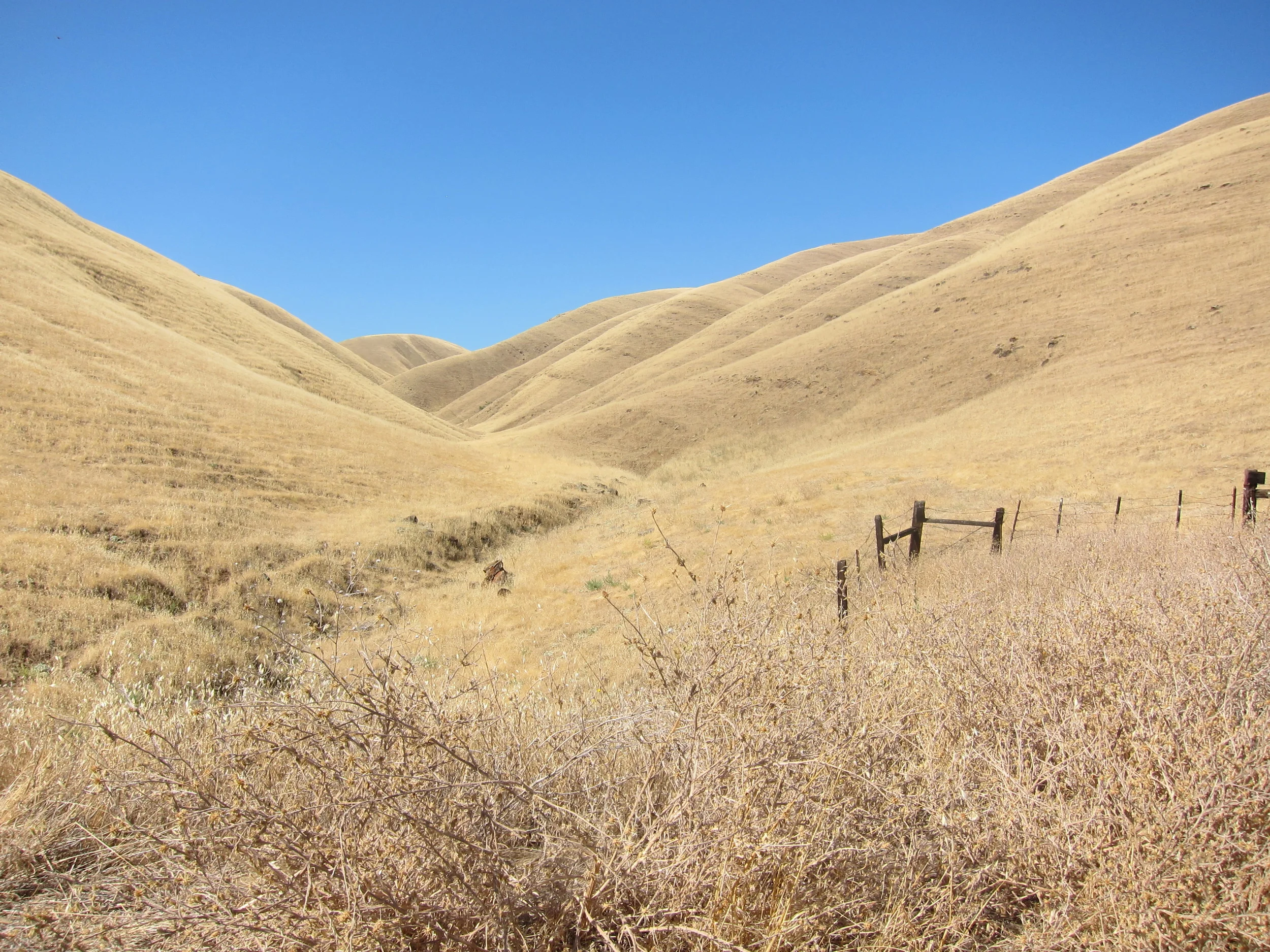 Golden Hills, Somewhere, California