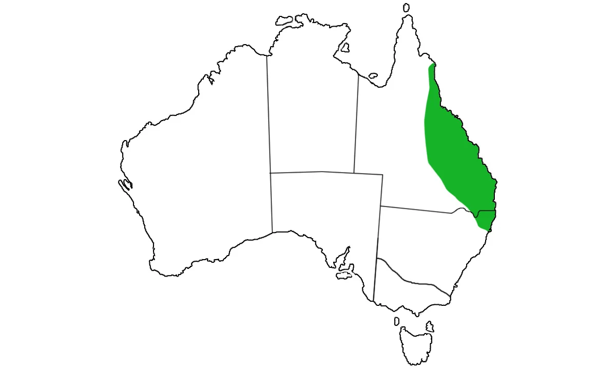Aepyprymnus-rufescens-range.jpg