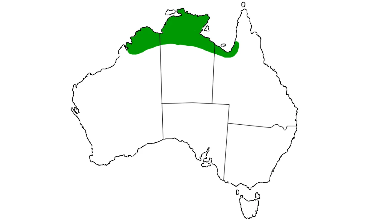 Antaresia-childreni-range.jpg