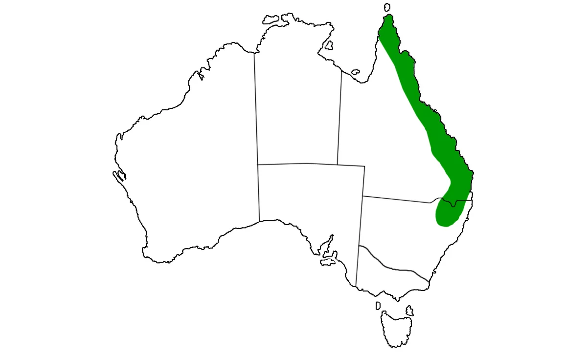 Spotted Python — NDIS Programs | Australian Wildlife | Boutique Zoo ...