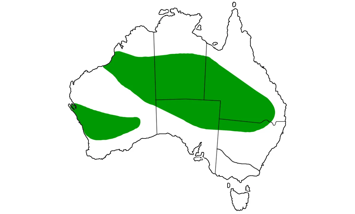 Aspidites-ramsayi-range.jpg